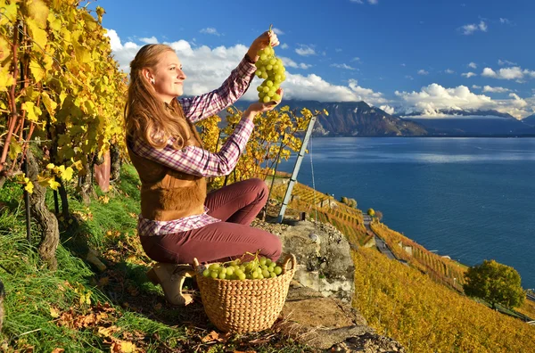 Menina com uma cesta cheia de uvas — Fotografia de Stock