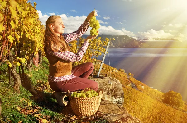 Menina com uma cesta cheia de uvas — Fotografia de Stock