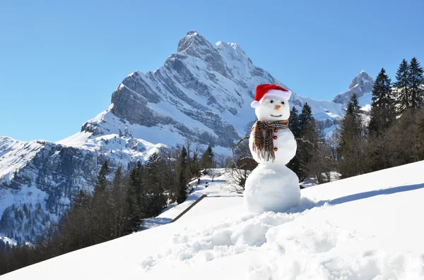 Hombre de nieve — Foto de Stock