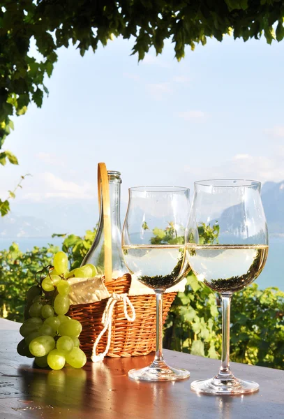 Wein und Trauben — Stockfoto