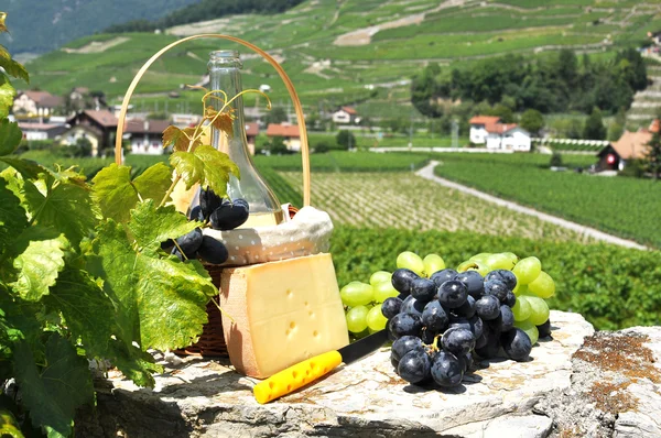 Vino y uvas —  Fotos de Stock