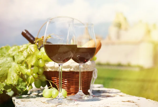 와인과 포도 — 스톡 사진
