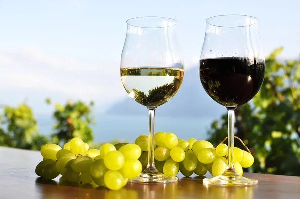 Vino y uvas — Foto de Stock