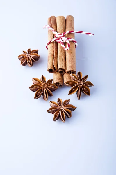 Anice and cinnamon — Stock Photo, Image