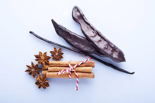Vanilla with cinnamon — Stock Photo, Image