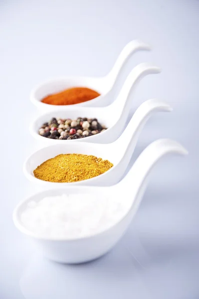 Various spices and herbs on white background — Stock Photo, Image