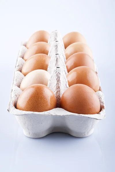 Die braunen Eier in der Eischachtel — Stockfoto
