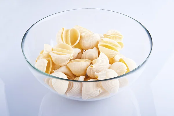 Pasta Conchiglie sobre fondo blanco — Foto de Stock