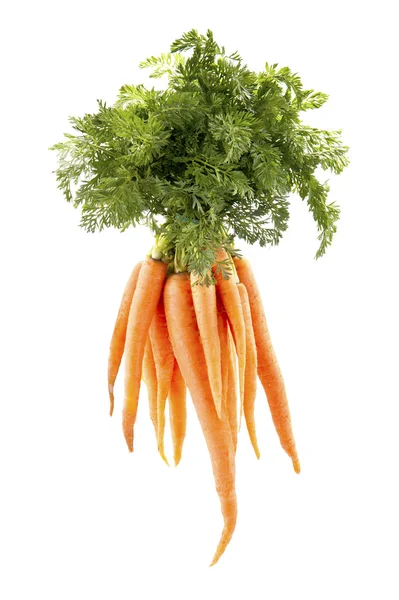 Légume carotte avec feuilles isolées sur fond blanc découpe — Photo