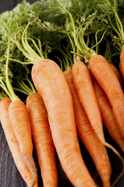 Fresh Organic Carrots on wooden background — Stock Photo, Image