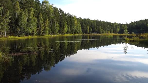 Nature lake — Stock Video