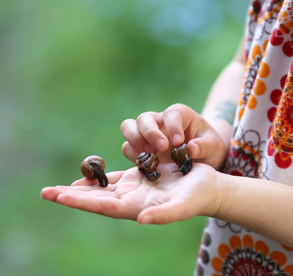 Holding Snails — Stock Photo, Image