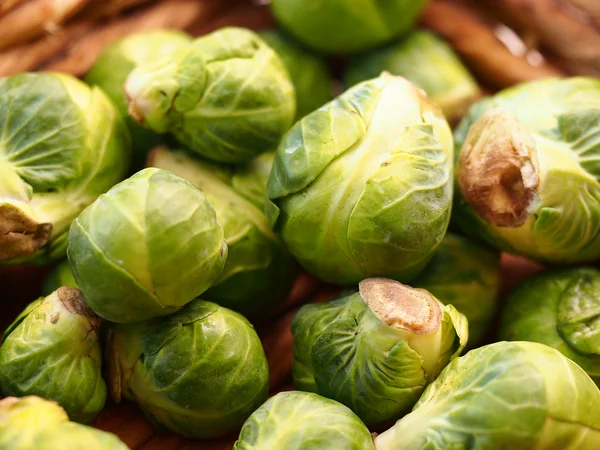 Brussel sprout — Stockfoto