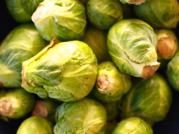 Brussel sprout — Stockfoto
