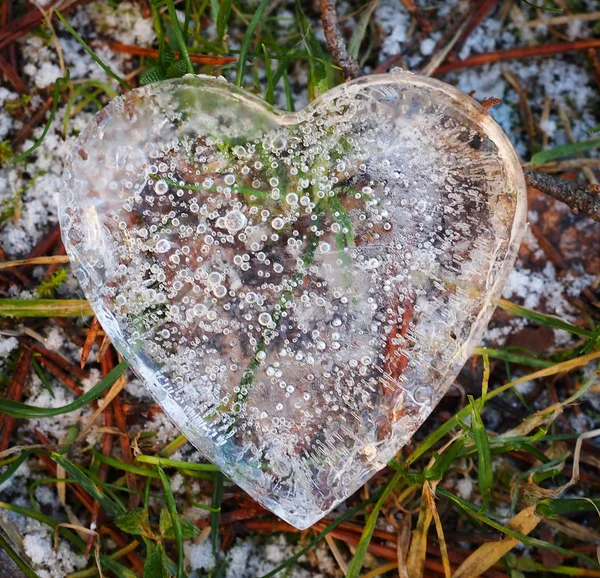 Corazón de hielo — Foto de Stock