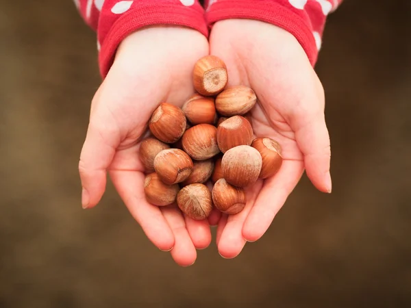 Fındık — Stok fotoğraf