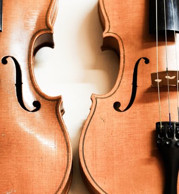 Violins clipart
