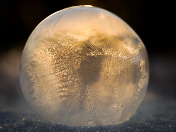 Frozen Soap Bubble — Stock Photo, Image