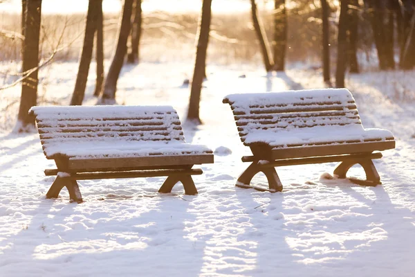 Park banken in de winter — Stockfoto