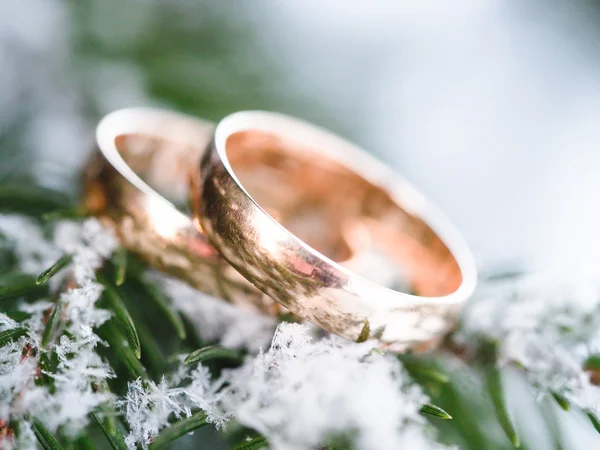 Anillos de boda — Foto de Stock