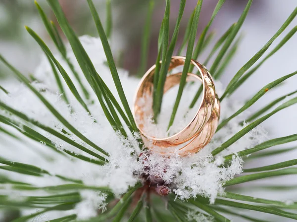 Anillos de boda — Foto de Stock