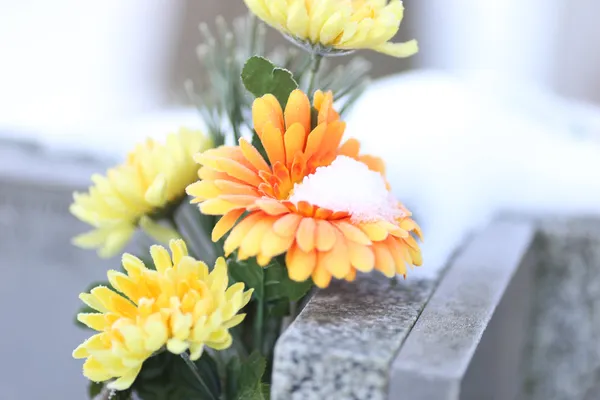 Flores em uma sepultura — Fotografia de Stock