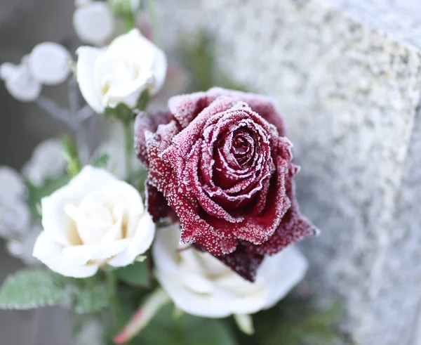 Rose su una tomba — Foto Stock