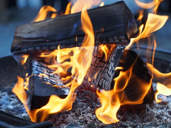 Campfire — Stock Photo, Image