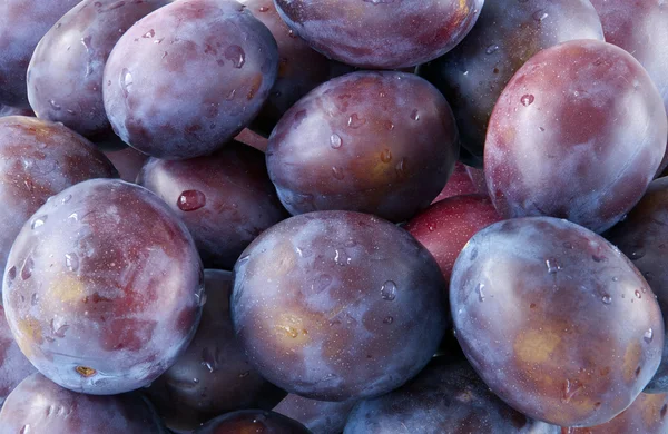 Purple plums — Stock Photo, Image