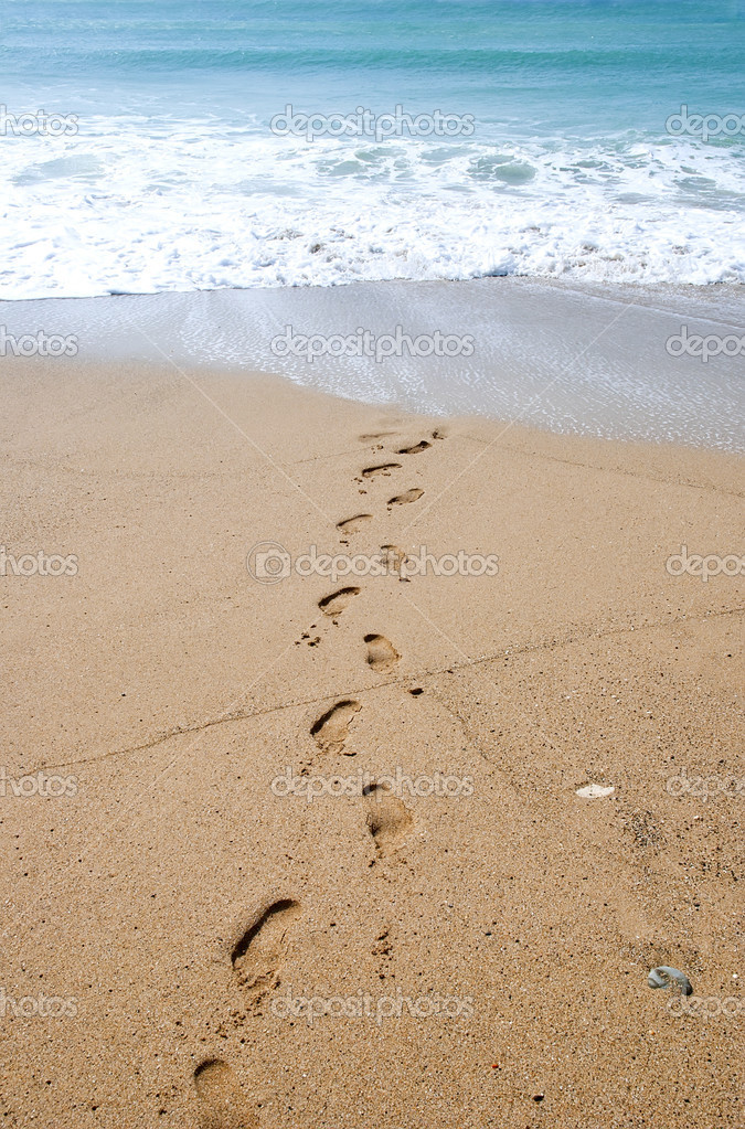spuren im sand — Stockfoto © tiantan 36811065