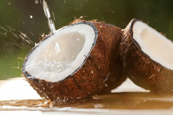 Кокосовый орех с брызгами воды — стоковое фото