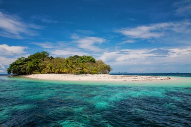 Hindistan cevizi hurma ile güzel egzotik Plajı