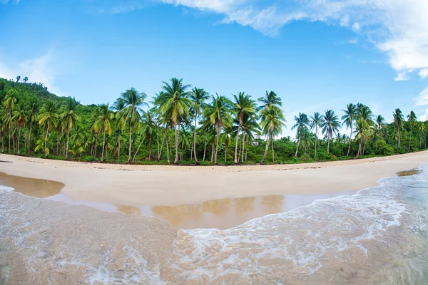 Красивый экзотический пляж с кокосовой пальмой — стоковое фото