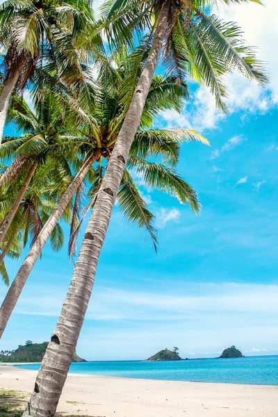 Schöne Aussicht auf die Philippinen — Stockfoto