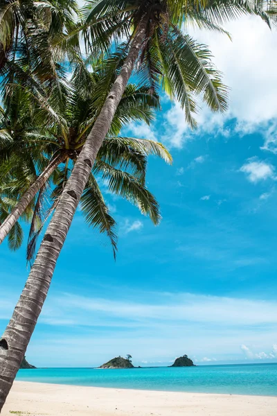 Schöner exotischer Strand mit Kokospalmen — Stockfoto