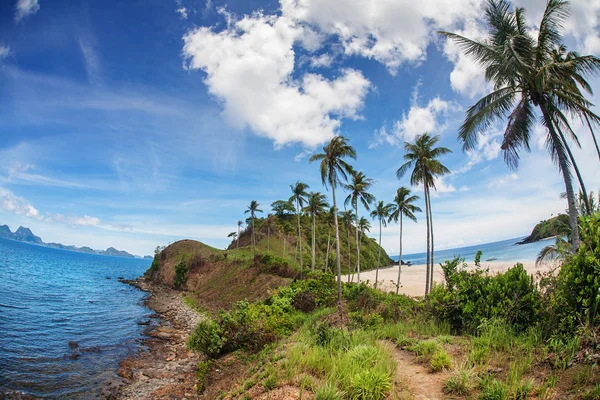 Palmen und tropischer Strand — Stockfoto