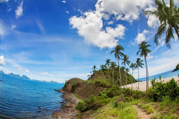 Schöner exotischer Strand mit Kokospalmen — Stockfoto