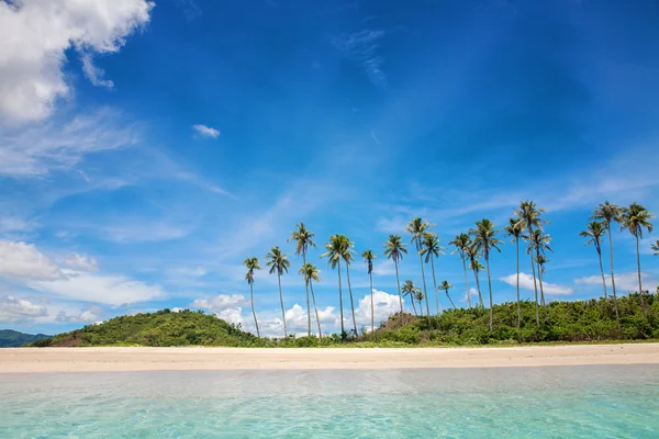 Palm and tropical beach — Stock Photo, Image