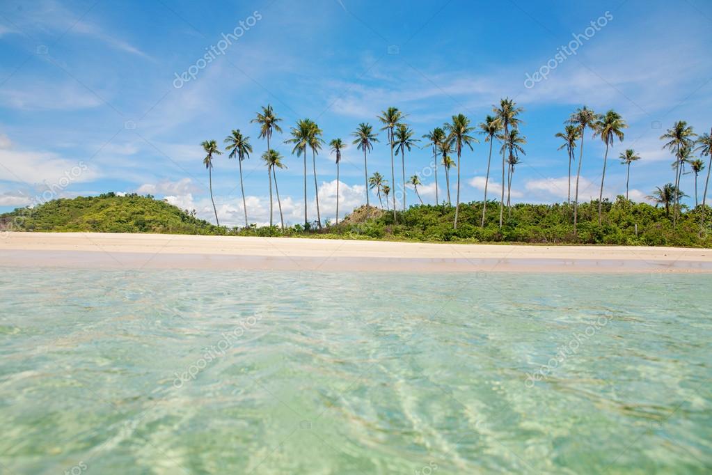 Belle Plage Exotique Avec Cocotier Image Libre De Droit Par ibdus C