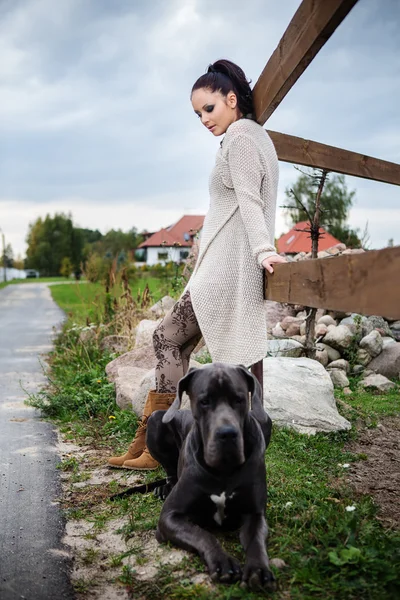 Sexy woman with dog — Stock Photo, Image