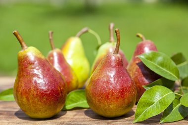 eski ahşap tahta üzerinde sonbahar taze armut