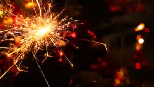 Close-up view of lit up holiday sparkler — Stok Video