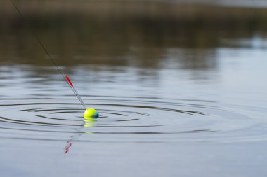 Oltanın ucundaki balık