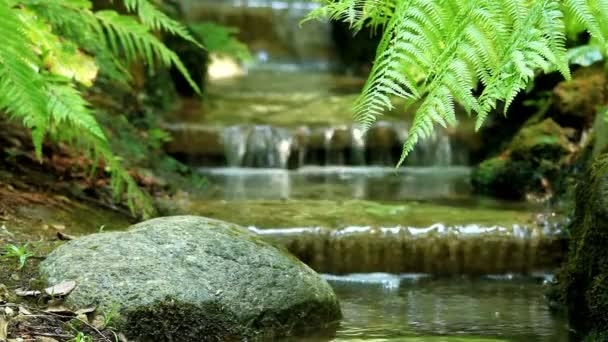 Cachoeira — Vídeo de Stock