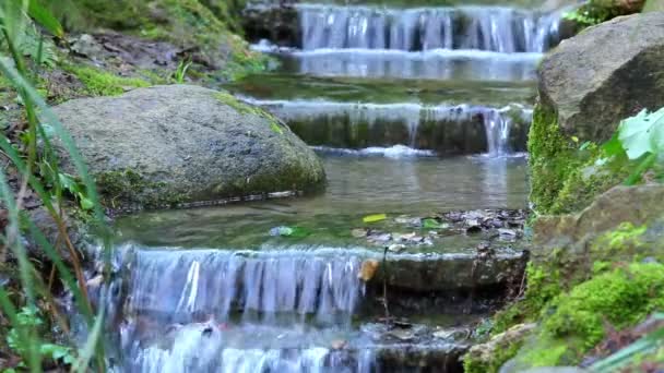 Cachoeira — Vídeo de Stock