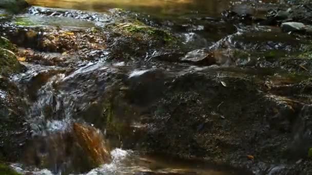 Водопад — стоковое видео