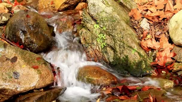 Cachoeira — Vídeo de Stock