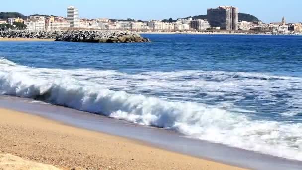 Zona costeira — Vídeo de Stock