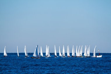 Regatta