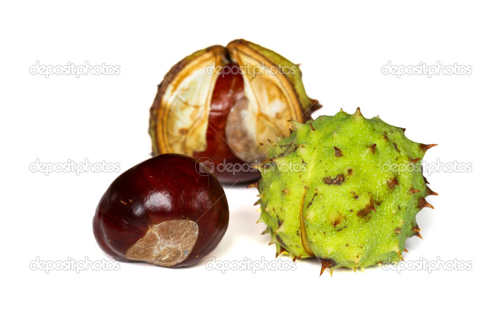 栗写真素材 ロイヤリティフリー栗画像 Depositphotos